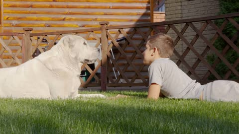 Little boy lying on the lawn of a garden is cuddling and playing with dog