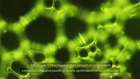 Battle of the Networks: CNNs vs DNNs - Which Is Best?