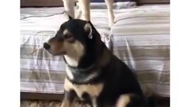 me bothering the only person who can put up with me
