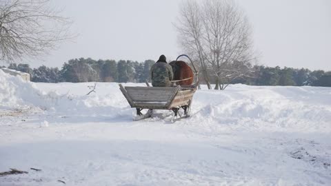 Horse pulling sleigh in winter Old winter transport