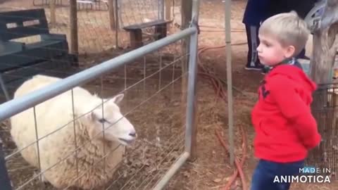 Adorable Kids Playing with Animals