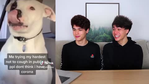 Funny Tik Tok videos, entertainment