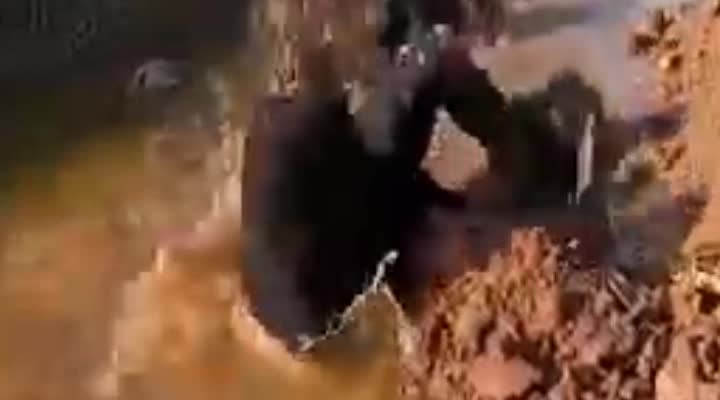 Man Eaten by Snake In The Swamp