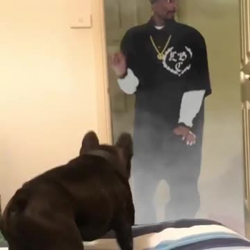 This is different and so funny