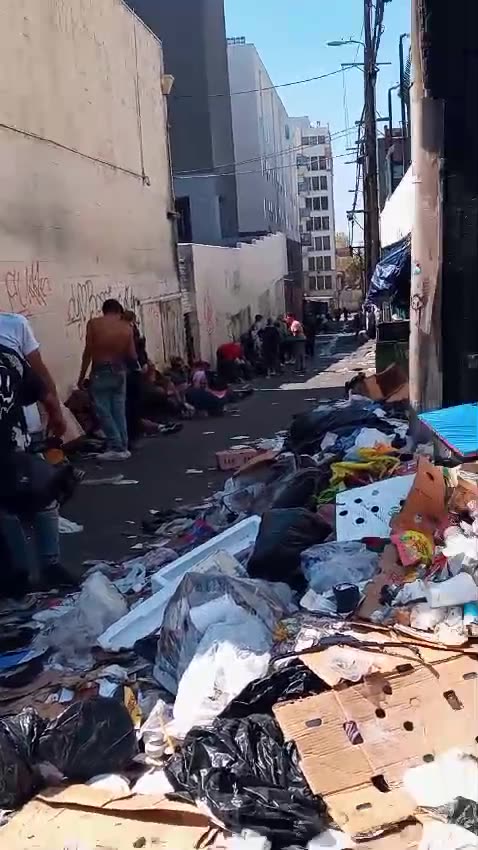 👆👆 THIS NIGHTMARISH HELL WILL BE ALL OF AMERICA UNDER COMRADE KAMALA!👆👆(Los Angeles)