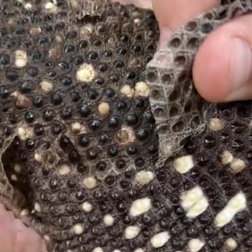 How Satisfying Is That! 🤩😱