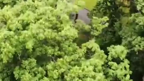 Quick Drone Flight Short - Captured on Mavic Air
