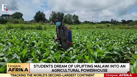 Malawi: Students Use Chinese Farming Techniques For Agricultural Development| Firstpost Africa