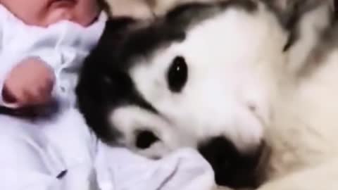 Cute Pets and their Family