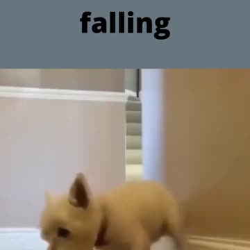 keeps the wall from falling