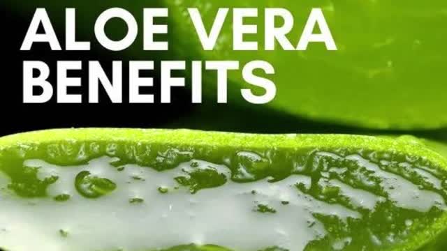 Aloe vera Benefits