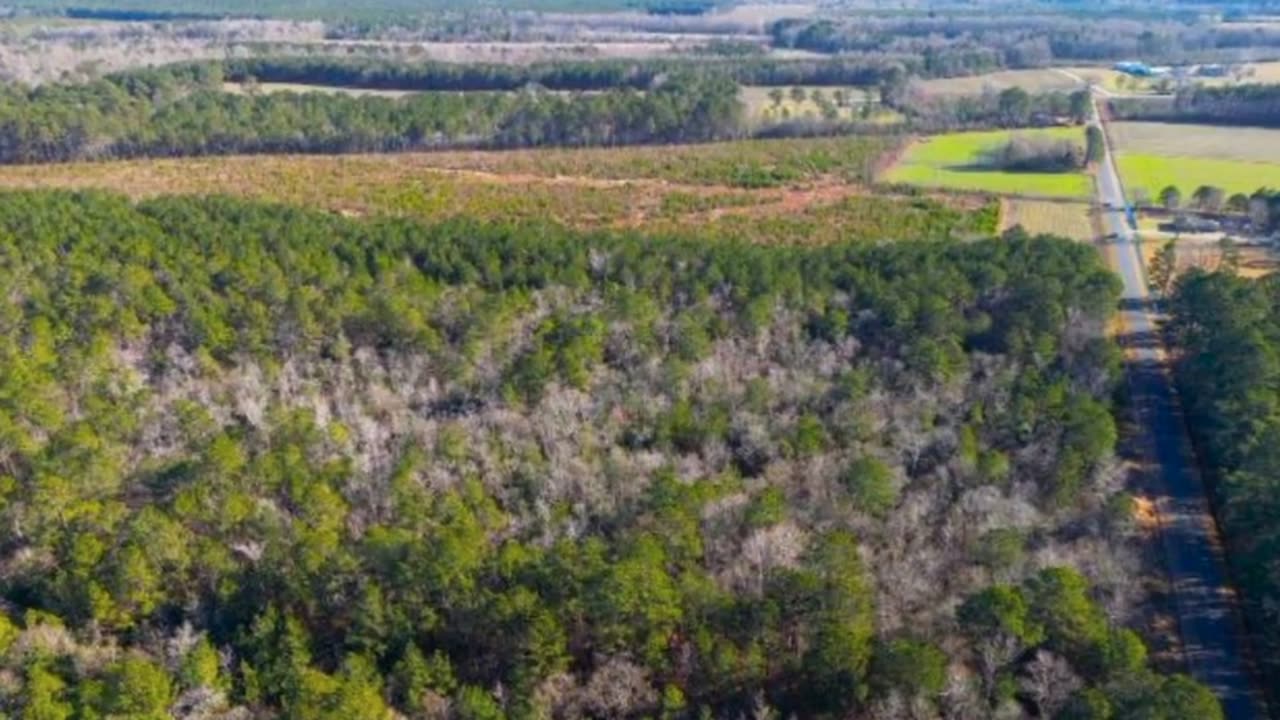 Inventive Property Solutions : Land For Sale in Raleigh, NC | 27617