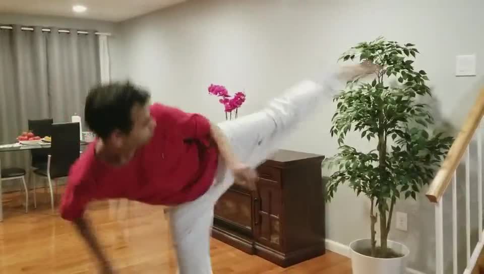 National Champion Of 1999 (World Taekwondo Federation) Kicking After 20 YEARS Without Practice.