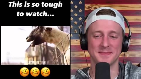 Tough to Watch, but Accurate.