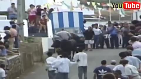 Funny Bull Fighting| Crazy Reaction |