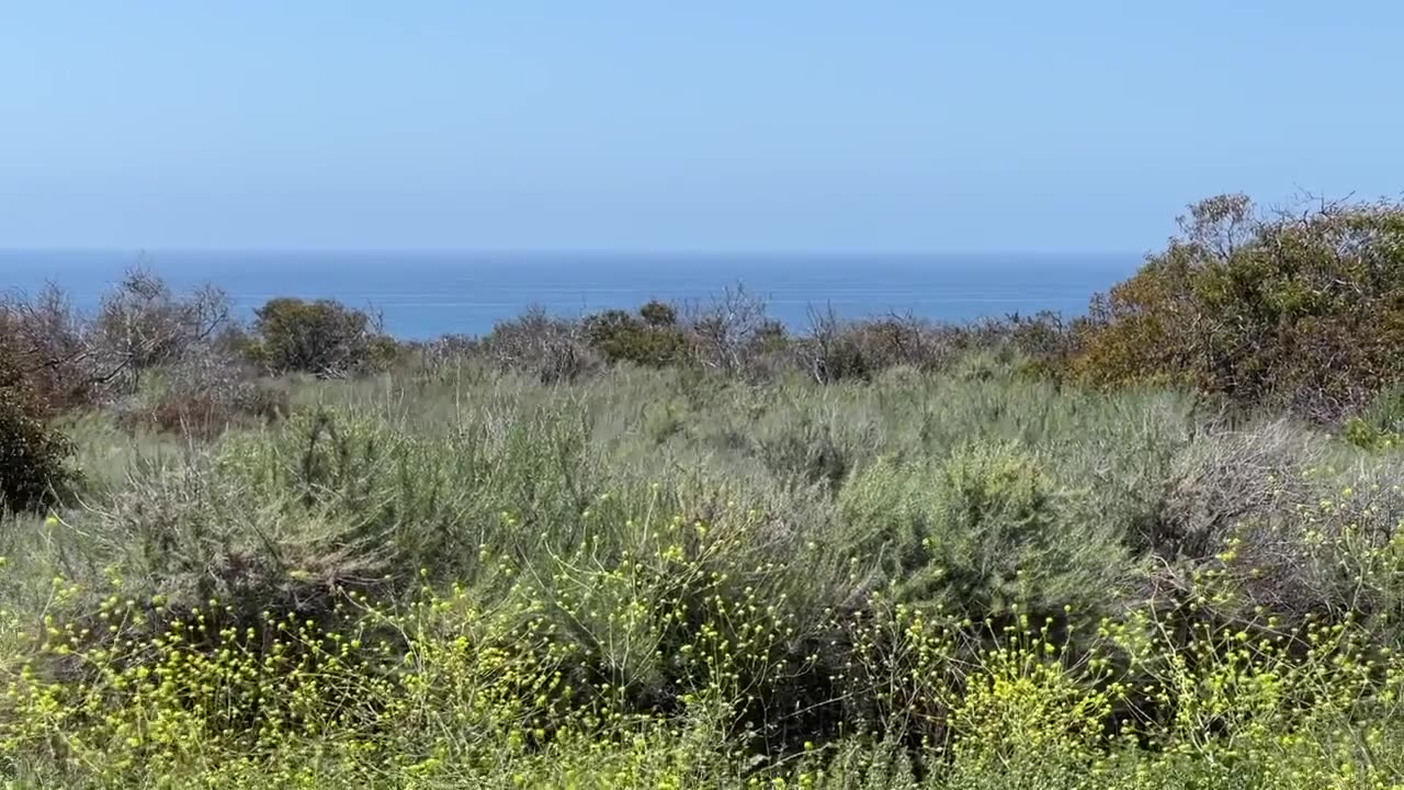 Beach yet again (Sat, Apr 27, 2024 — 1hr)