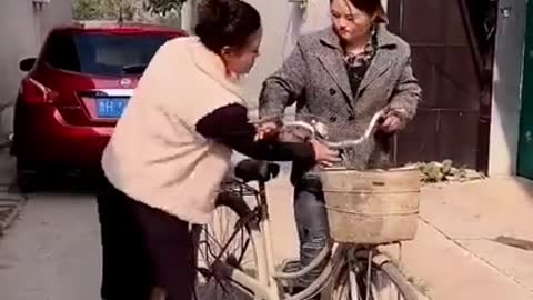 New funny videos , Chinese funny video try not to laugh