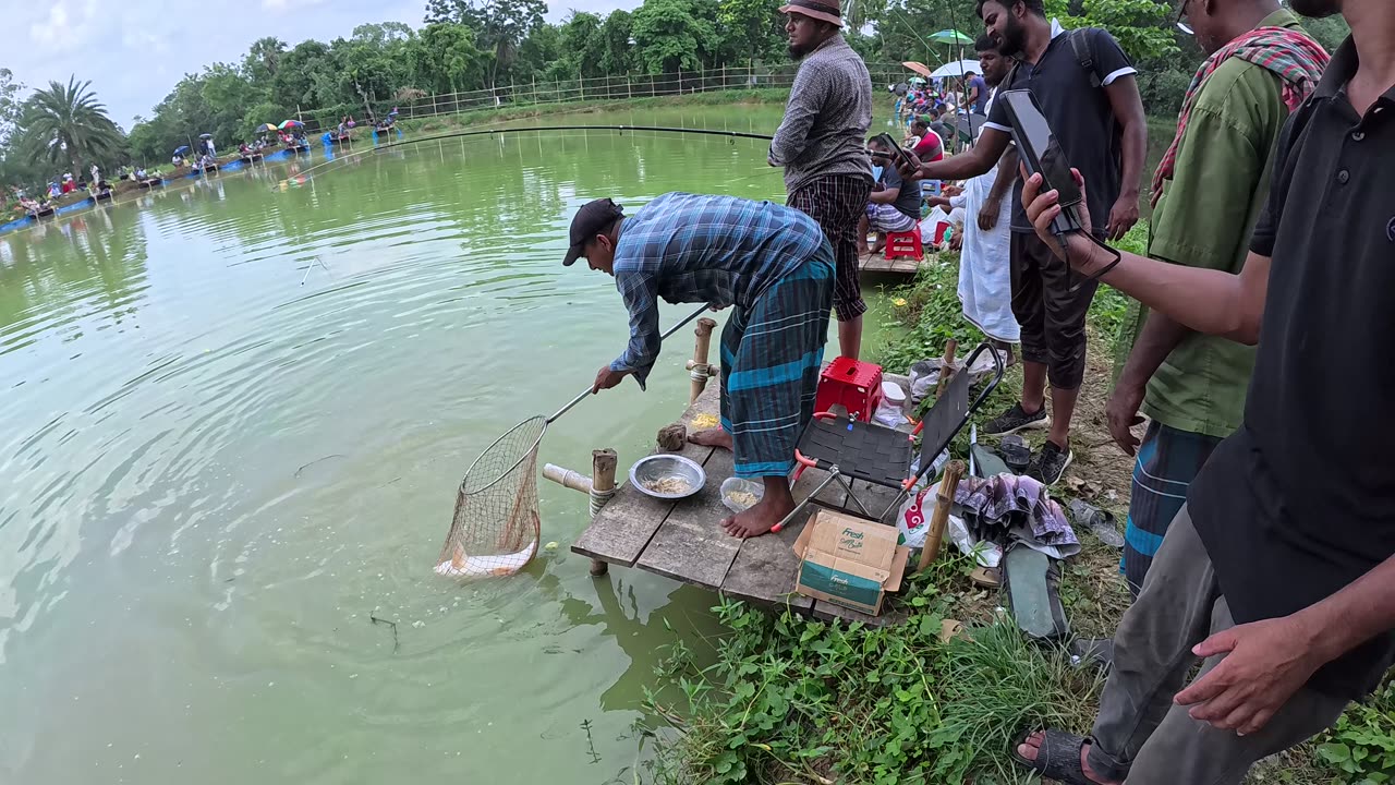 Fish Hunting | Village Fishing Videos | Awesome Fishing