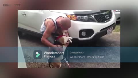 dogs meet with their owner