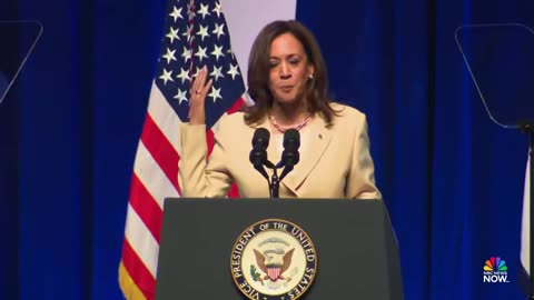 LIVE Harris delivers remarks in Indianapolis