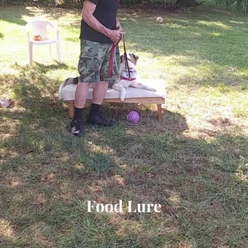 Ruff Cut PodCast Leash Handling part 3 cut b