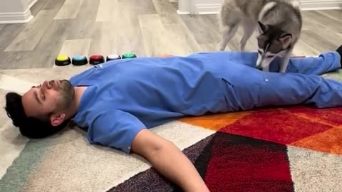 Bitty funny dog