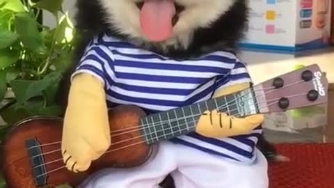 Cute dog try to play guitar funny video