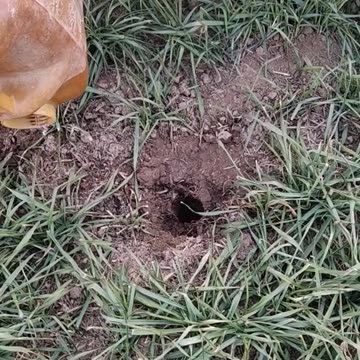 The water bottle 😂