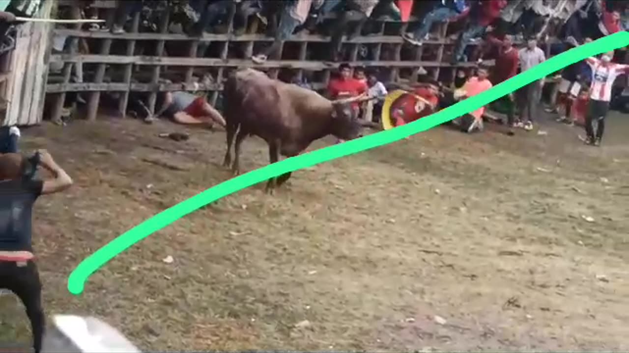 corraleja