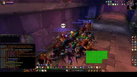 Turtle Wow - MM weekly AQ40 - 30 July - paladin POV