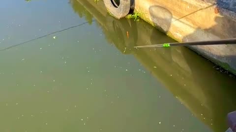 Giant🔥 Big Fish Catch 🐟 fishing rod। #fishing