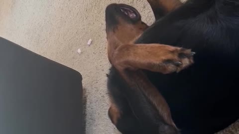Caught her sleeping on the job.