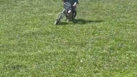 A cute little kid fall from a cycle,funny short meme clip.😂♥️