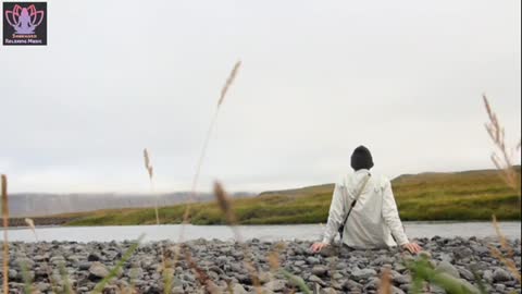 Relaxing Music | Sleeping, Meditation, Stress Relief | [1370] ⭐️