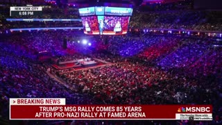 MSNBC PANIC - Desperate Hitler Bullshit