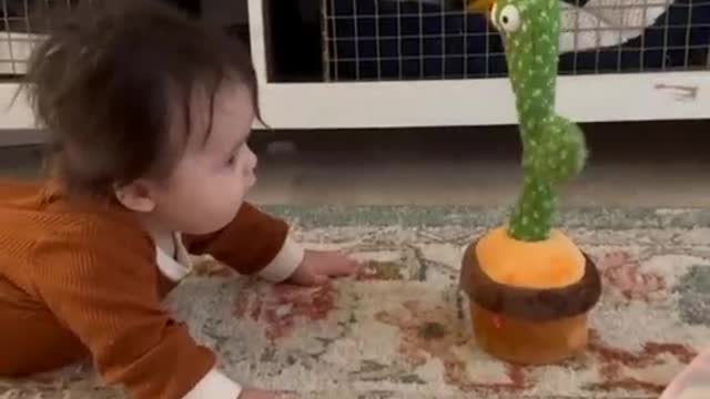 Dancing Cactus toy