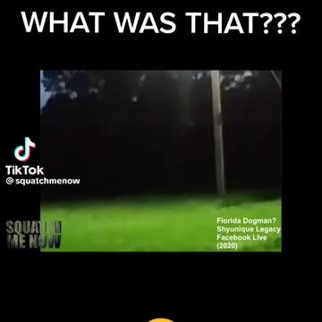 Dogman runs right by her