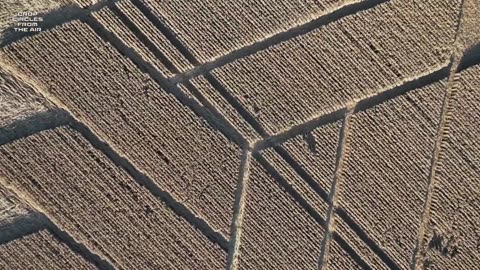 Crop Circle Stoke Charity, Hampshire, Royaume-Uni 28 juillet 2024 Crop Circles depuis les airs