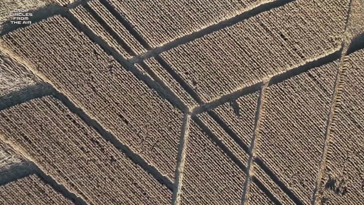 Crop Circle Stoke Charity, Hampshire, Royaume-Uni 28 juillet 2024 Crop Circles depuis les airs