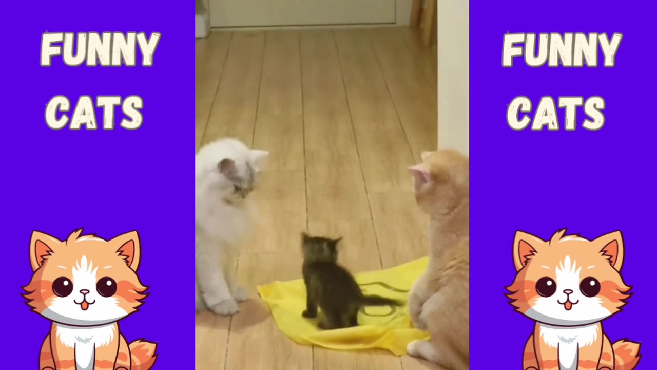 Cats Gone Wild: The Funniest Cat Antics Caught on Camera