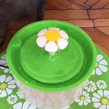 Alice Canadian sphinx