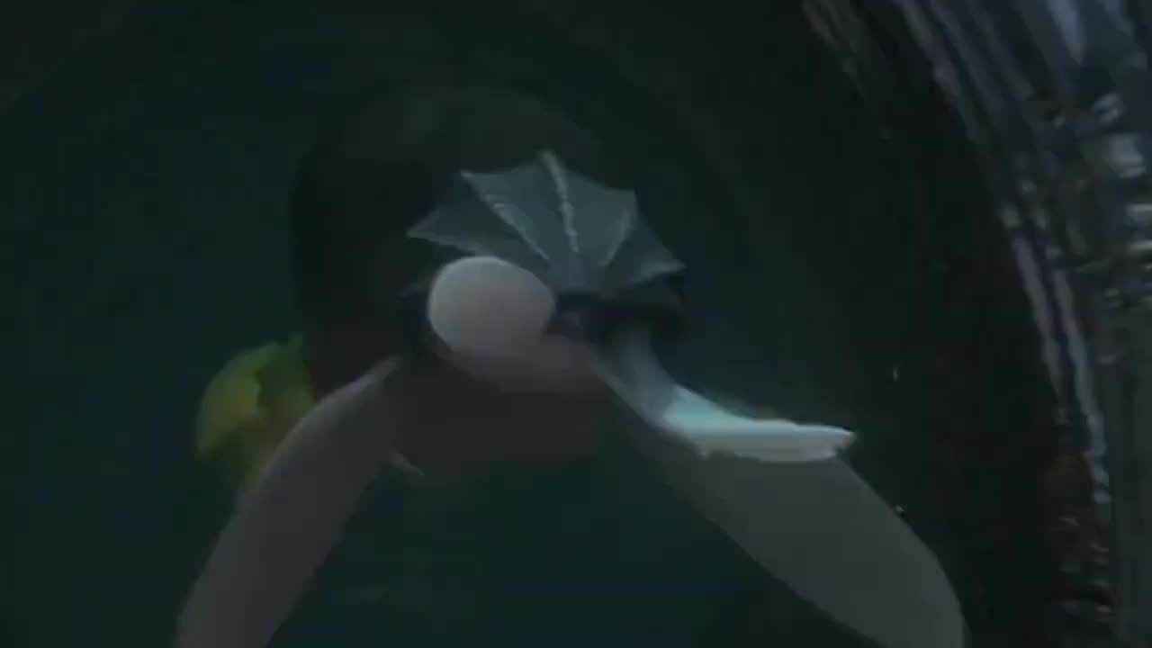 Ricky's Butt Slow Compilation