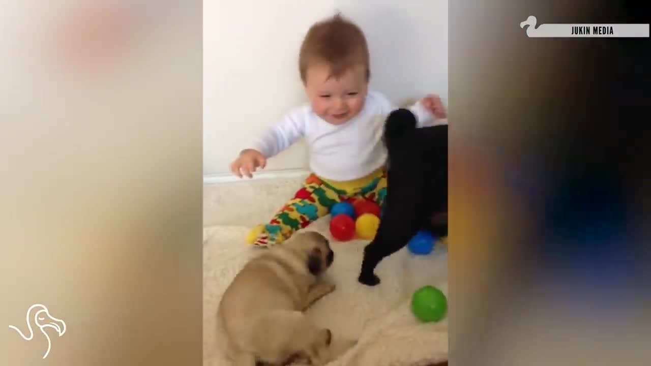 Sweet Babies laughing At Pets l The Dono