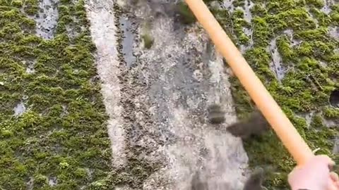 Clean Shovel