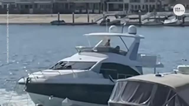 Man arrested for stealing yacht in Southern California