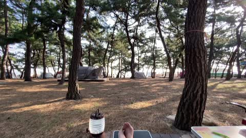 A campsite where you can see the sea and hear the sound of birds in Gangwon-do, South Korea