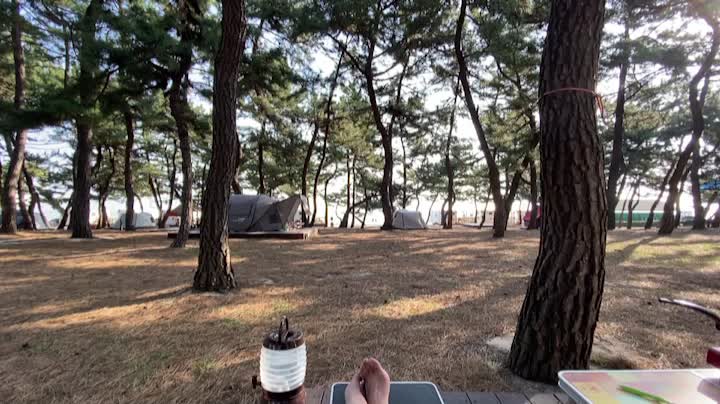 A campsite where you can see the sea and hear the sound of birds in Gangwon-do, South Korea