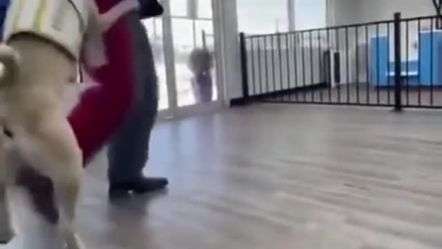 Very well trained dog