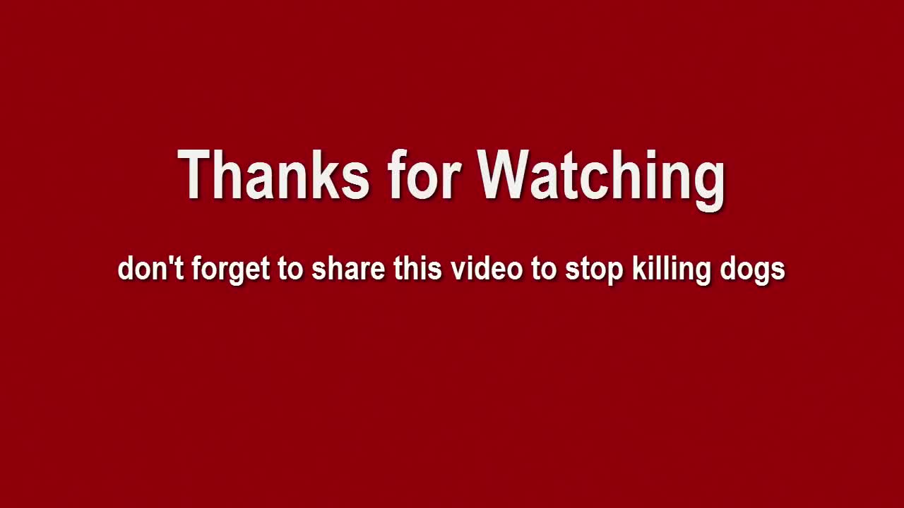 Stop killing dog and eating dog.