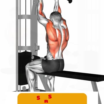 Lat Workout at Gym #latsworkout #gymtraining #backday #fitnessmotivation #shorts #shortvideo